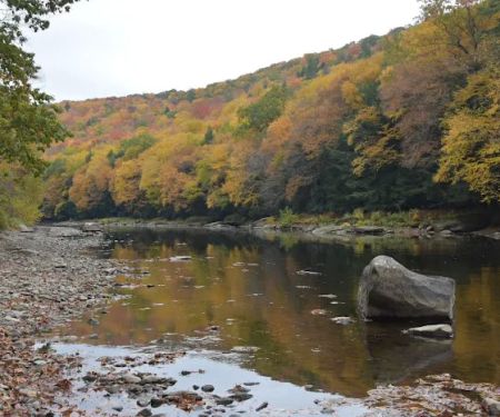 Clarion River Campground