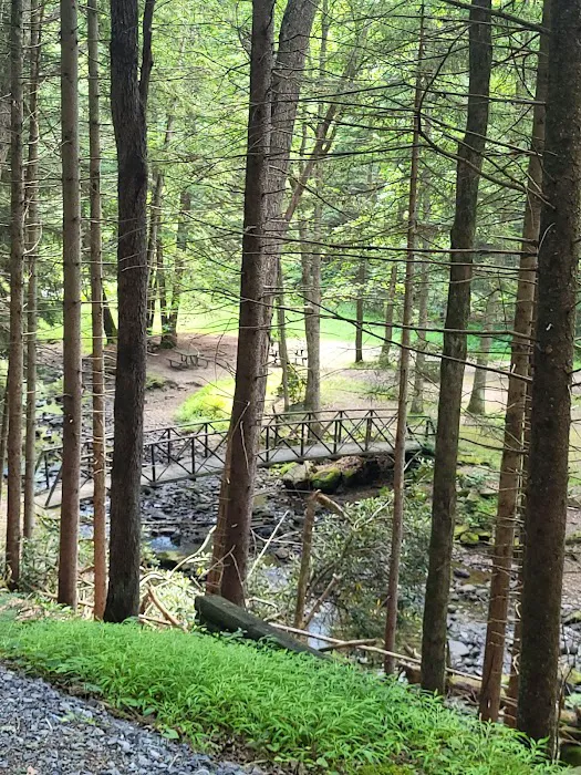 Clarion River Campground Picture 10