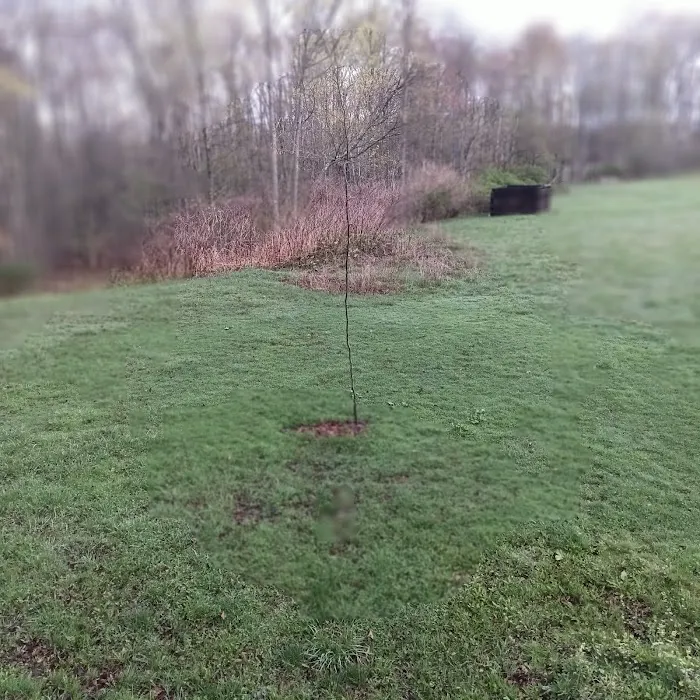 Bear Bottom Acres Picture 2