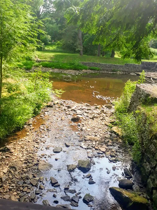 Loleta Recreation Area Picture 6