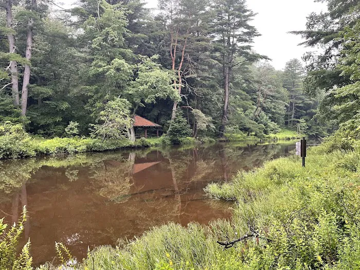 Loleta Recreation Area Picture 7