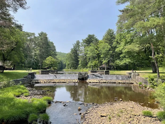 Loleta Recreation Area Picture 2