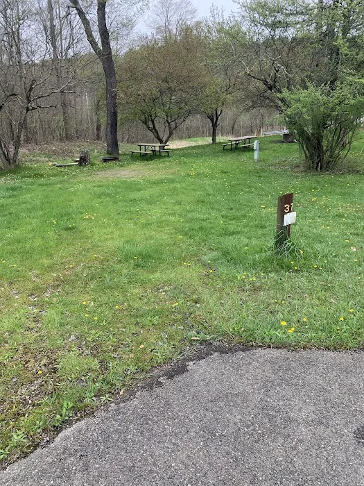 Loleta Recreation Area Picture 9