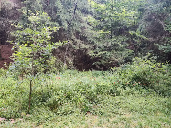 Loleta Recreation Area Picture 8