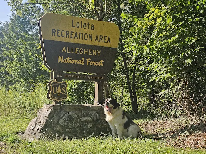Loleta Recreation Area Picture 10
