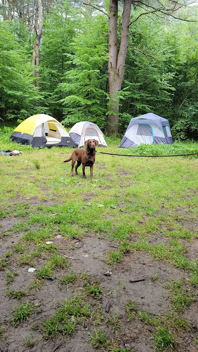 Millstone Campground Picture 2