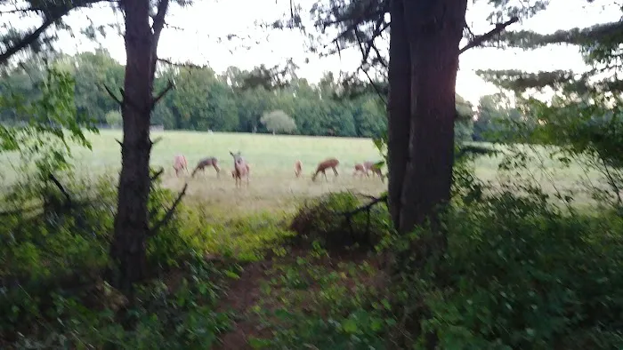 Loleta Bear Claw campground Picture 1