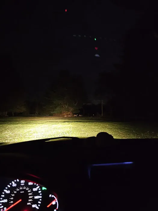 Loleta Bear Claw campground Picture 8