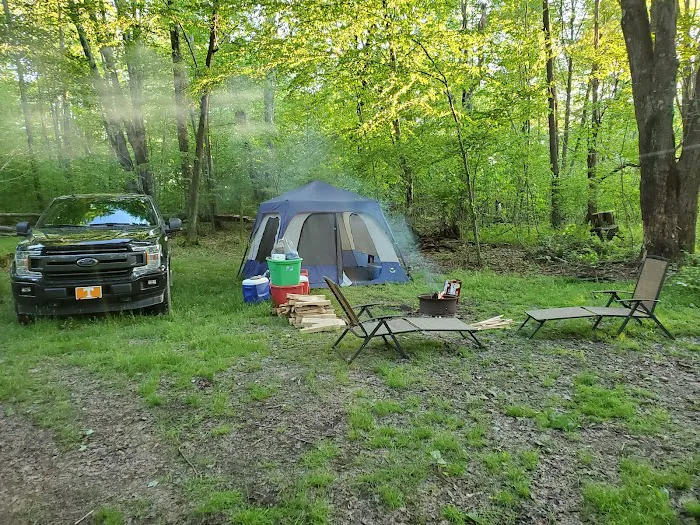 Loleta Bear Claw campground Picture 6