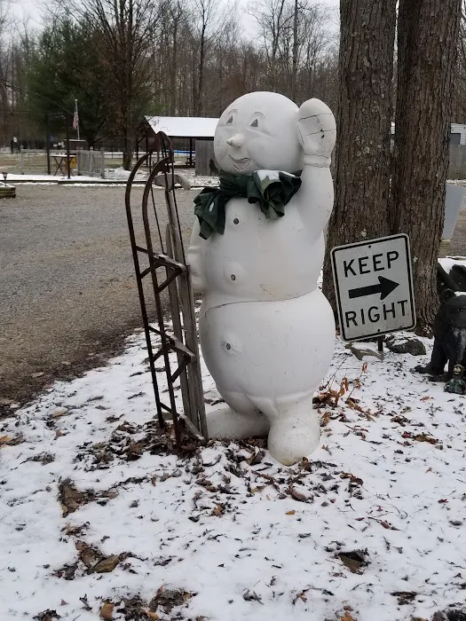 Forest Ridge Cabins and Campgrounds Picture 8