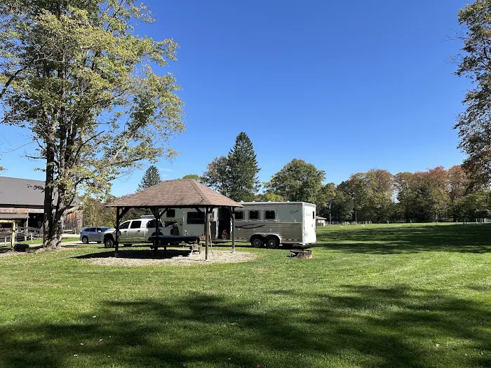 Sharon's Horse Heaven, Equestrian Cabin & Camping Picture 4