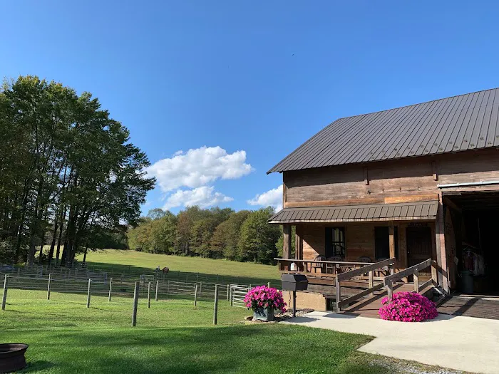 Sharon's Horse Heaven, Equestrian Cabin & Camping Picture 9