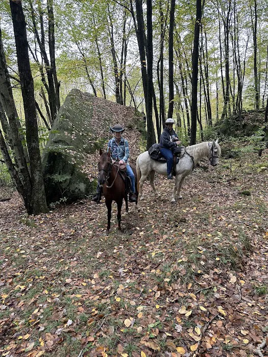 Sharon's Horse Heaven, Equestrian Cabin & Camping Picture 8