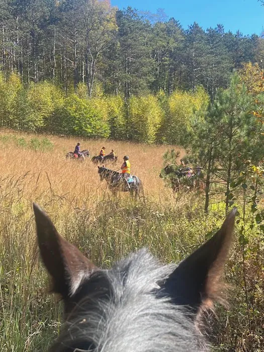 Sharon's Horse Heaven, Equestrian Cabin & Camping Picture 1