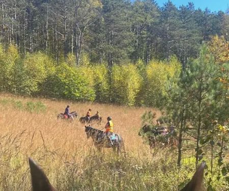 Sharon's Horse Heaven, Equestrian Cabin & Camping