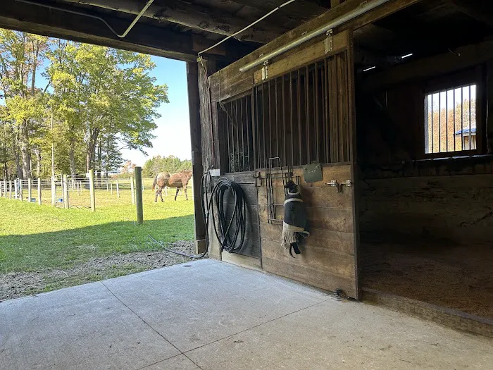 Sharon's Horse Heaven, Equestrian Cabin & Camping Picture 6