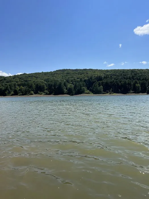Allegheny National Forest - Camping & Cabins Picture 2