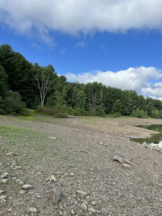 Allegheny National Forest - Camping & Cabins Picture 9