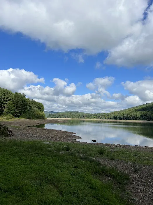 Allegheny National Forest - Camping & Cabins Picture 4