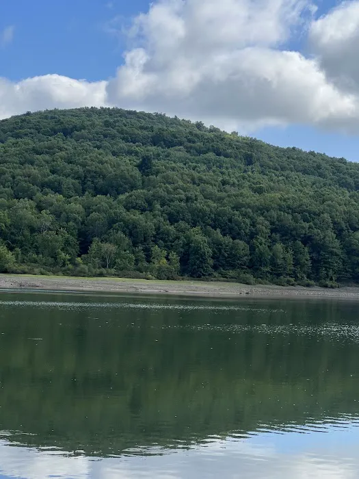 Allegheny National Forest - Camping & Cabins Picture 8