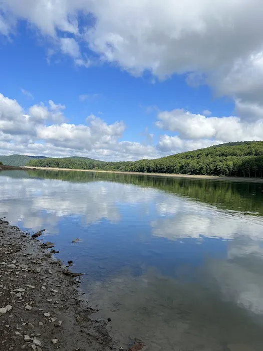 Allegheny National Forest - Camping & Cabins Picture 1