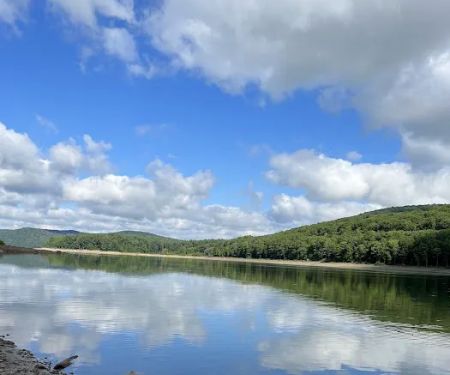 Allegheny National Forest - Camping & Cabins