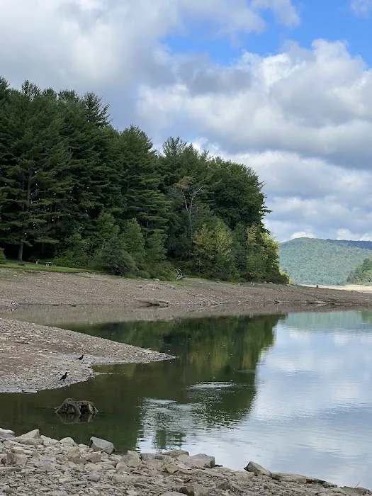 Allegheny National Forest - Camping & Cabins Picture 5