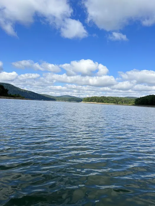 Allegheny National Forest - Camping & Cabins Picture 6