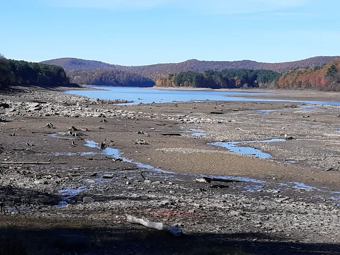 Willow Bay Campground Picture 8