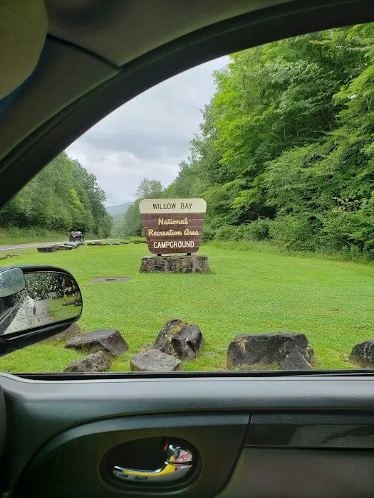 Willow Bay Campground Picture 6