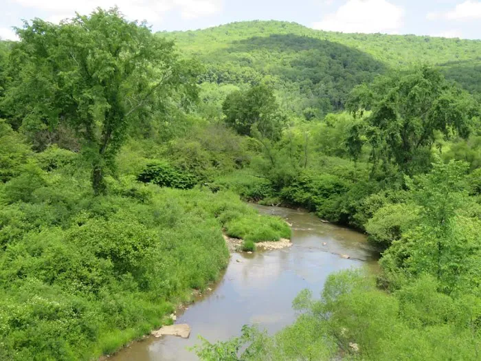 Willow Bay Campground Picture 10