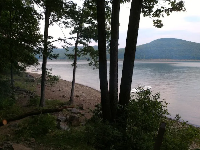 Hooks Brook Campground Picture 2