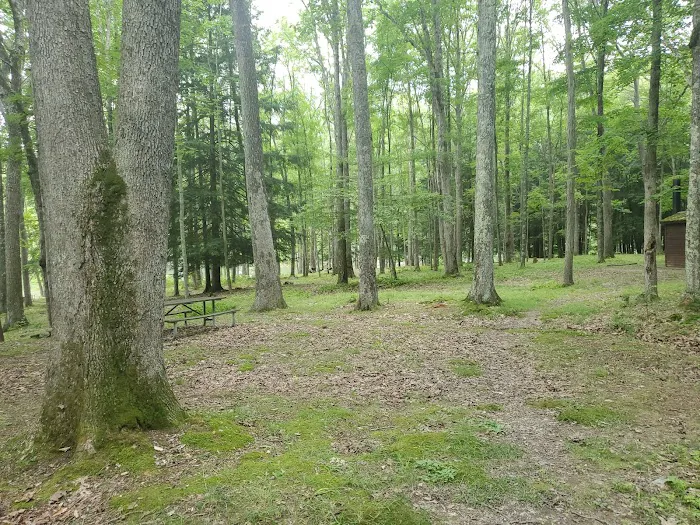 Hooks Brook Campground Picture 10