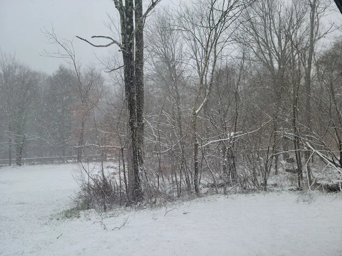 Group Camp 5 Picture 8