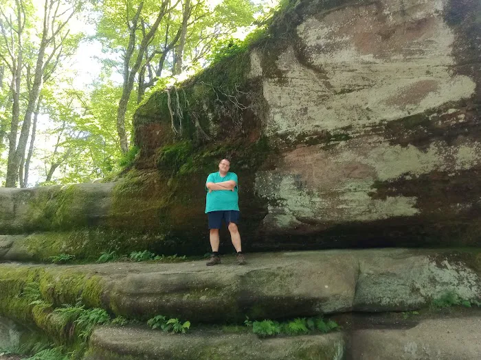 Group Camp 5 Picture 9