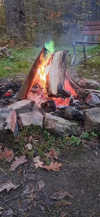 Barton Cabins Picture 1