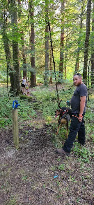 Barton Cabins Picture 2