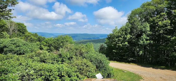 Barton Cabins Picture 3