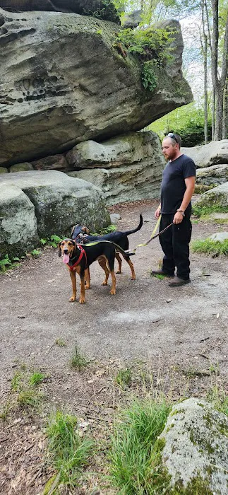 Barton Cabins Picture 5