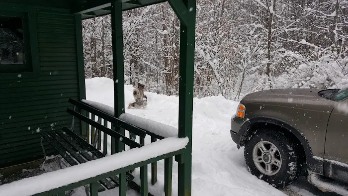 Weller Cabins Picture 1