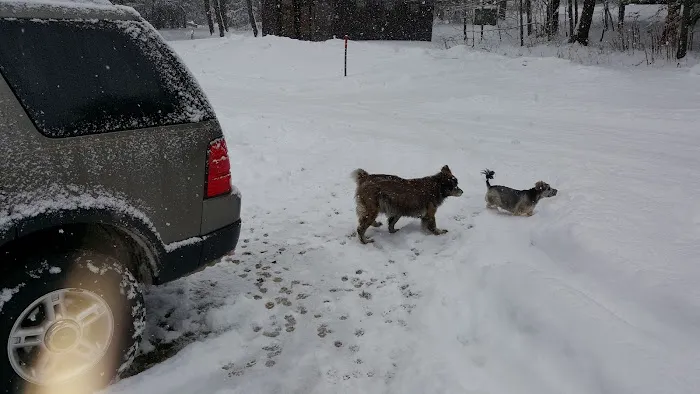 Weller Cabins Picture 4