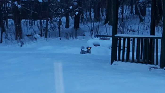 Weller Cabins Picture 8