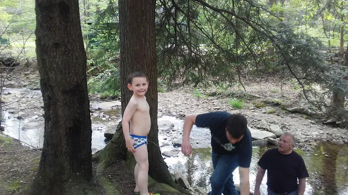 Ward Cabins Picture 4