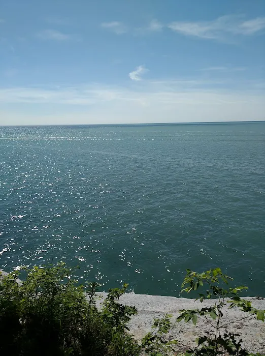 Evangola State Park Campground Picture 7