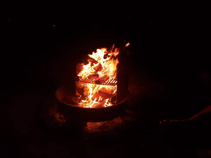 Evangola State Park Campground Picture 2