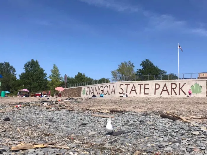 Evangola State Park Campground Picture 9