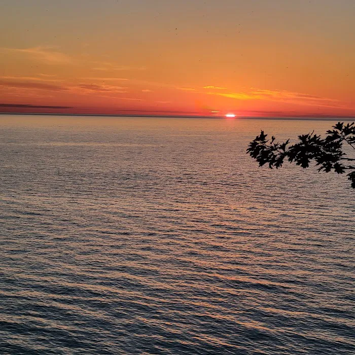 Evangola State Park Campground Picture 8