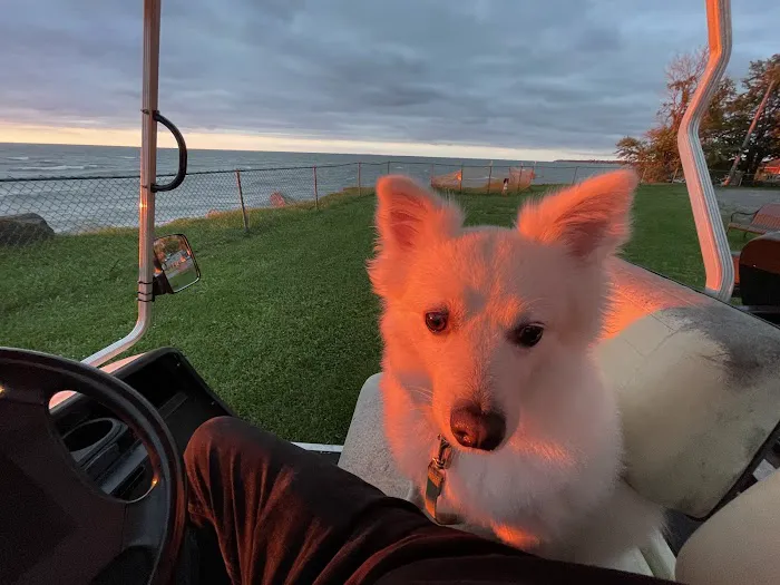 Point Breeze RV Resort Campground Picture 1