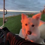 Point Breeze RV Resort Campground