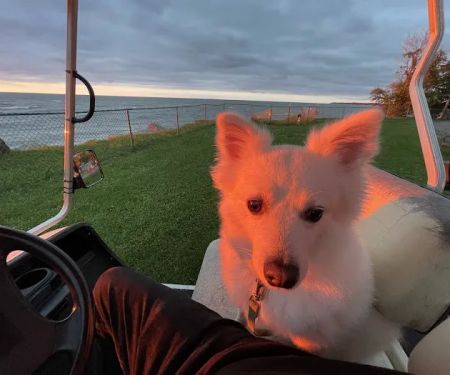 Point Breeze RV Resort Campground